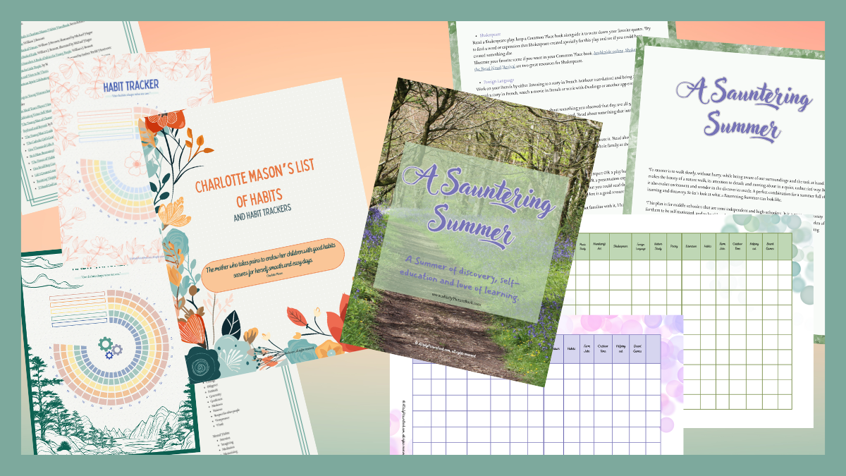 A Sauntering Summer Guide - Image 7