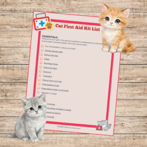 Cat First Aid Kit List