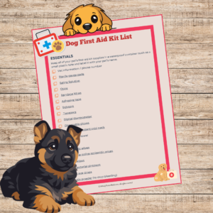 Dog First Aid Kit List