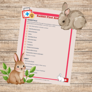 Rabbit First Aid Kit List