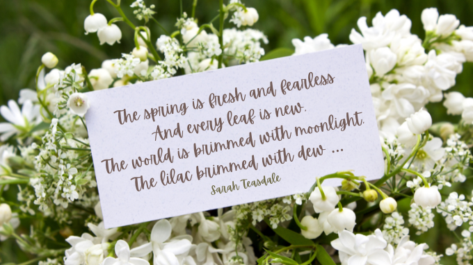 Musings in the Pretty Month of May